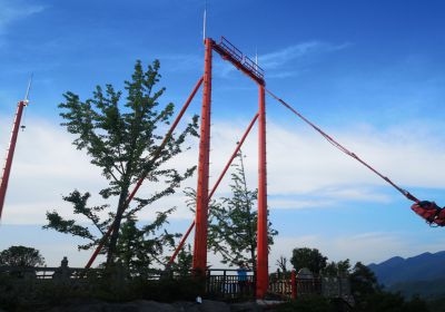 Cliff Swing