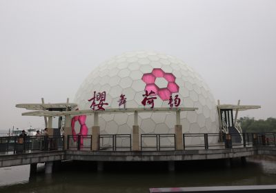 球幕动感影院—鼋头渚风景区